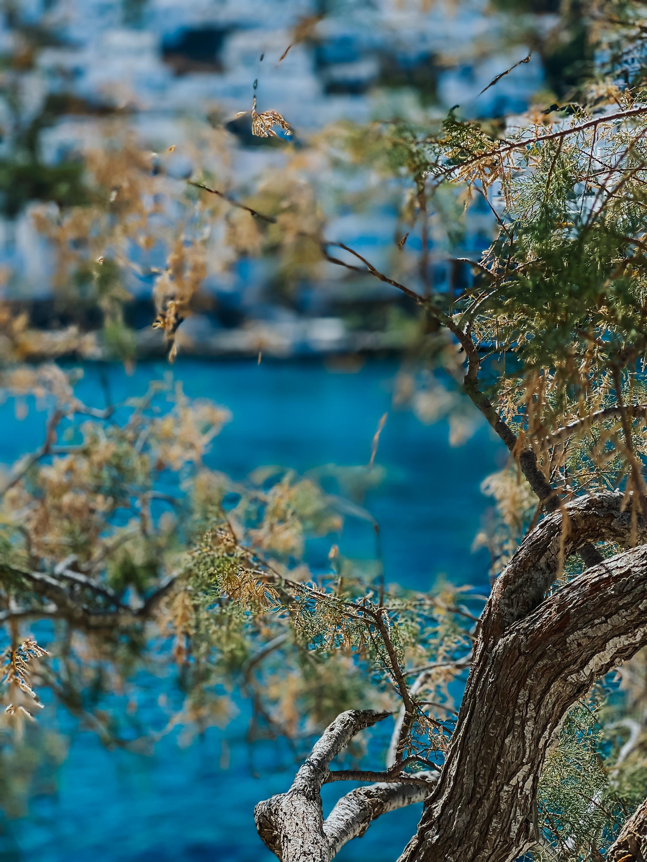 Vithos Aparthotel Astypalaia ภายนอก รูปภาพ